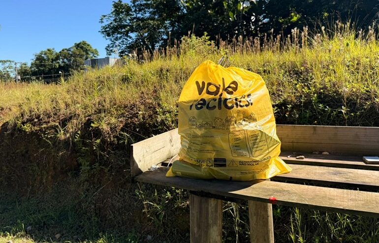 Distribuição das embalagens amarelas inicia na segunda-feira (1º) em Guaramirim