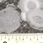 Guaramirim registra ocorrências após forte temporal com granizo